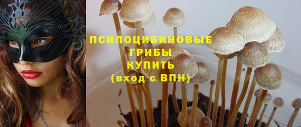метадон Богородицк