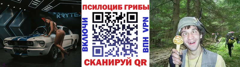 Псилоцибиновые грибы GOLDEN TEACHER  Богданович 